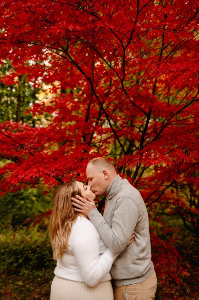 sesja narzeczeńska Arboretum