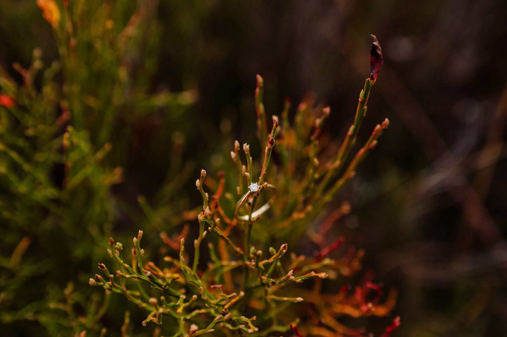 sesja narzeczenska tatry (41)