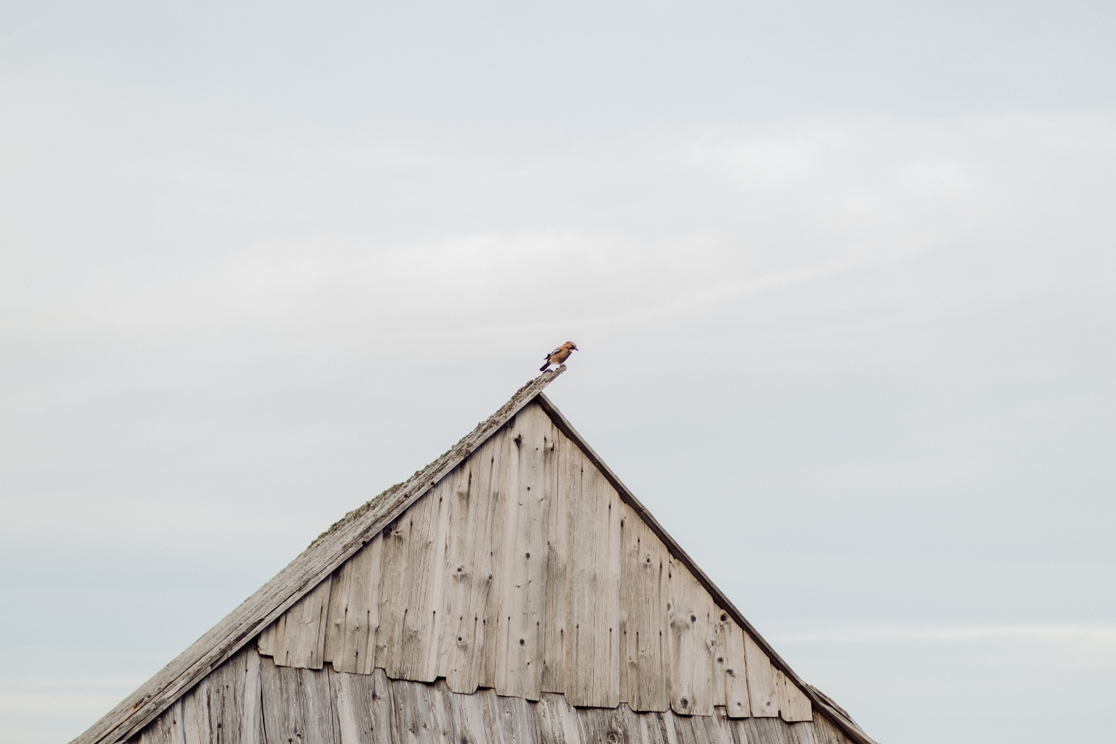 sesja narzeczenska tatry (49)