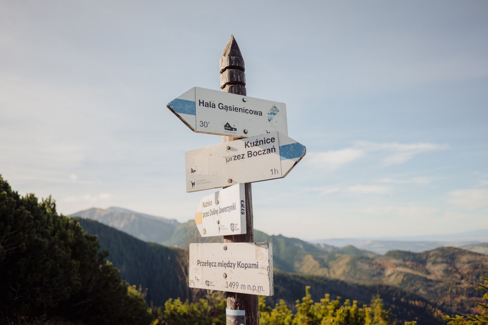 sesja narzeczenska tatry (1)