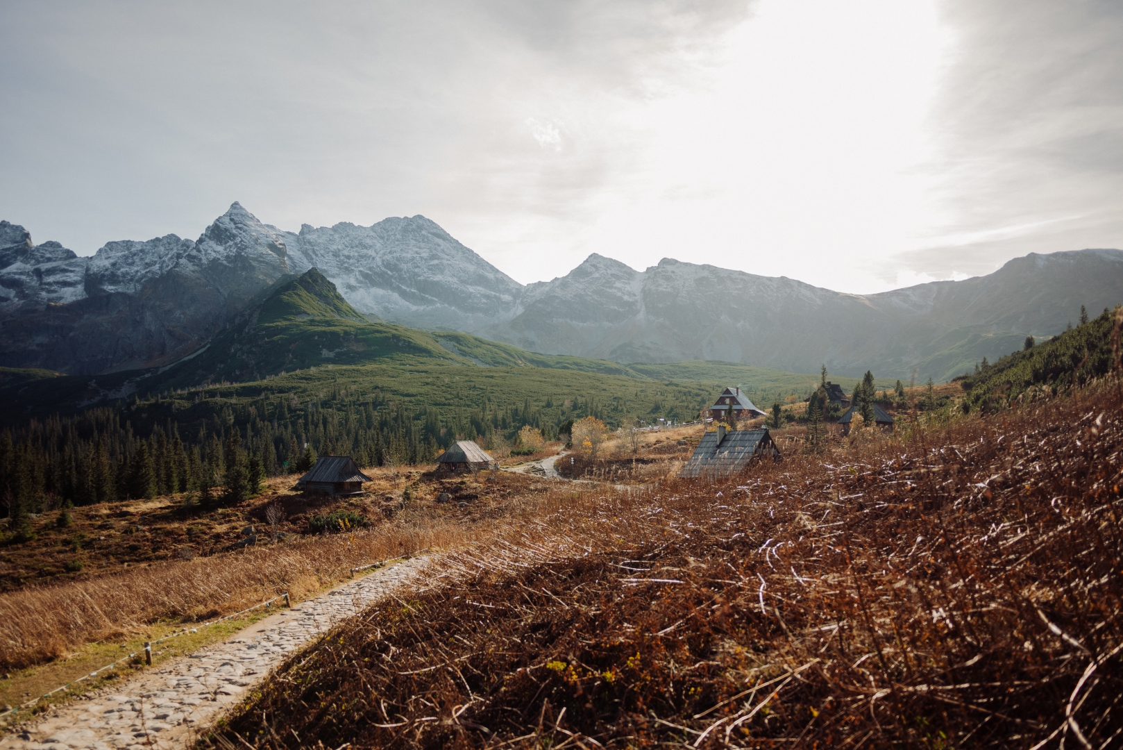 sesja narzeczenska tatry (2)