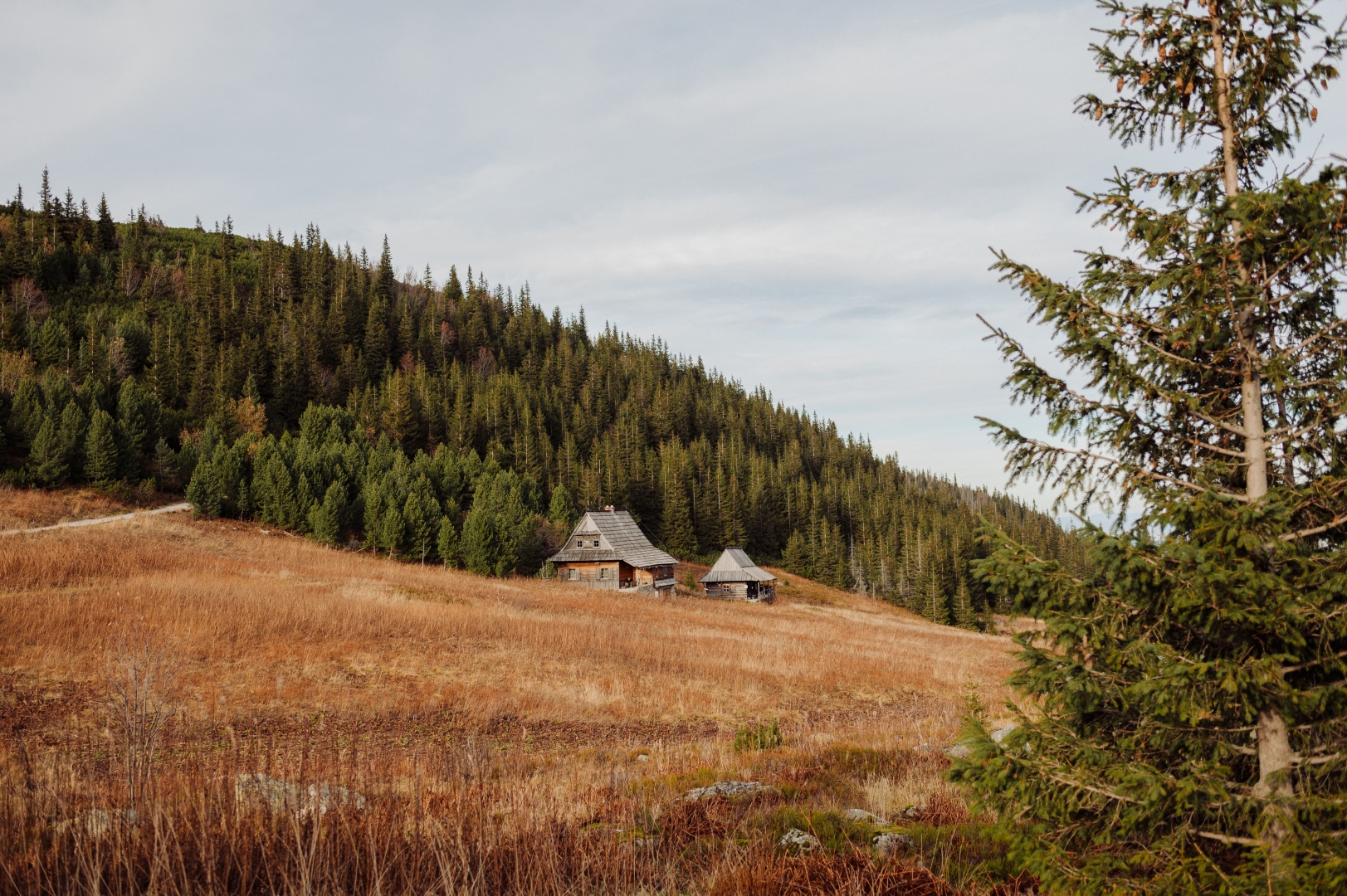 sesja narzeczenska tatry (3)